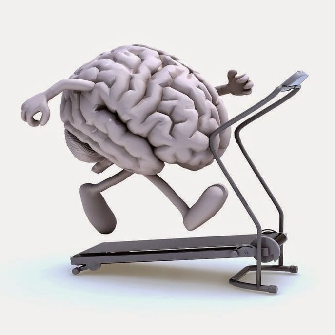Para el desarrollo del cerebro, necesitas una buena dieta